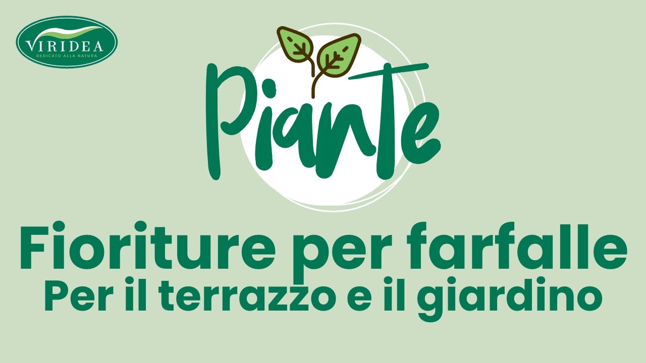 GIARDINO E TERRAZZO PER LE FARFALLE
