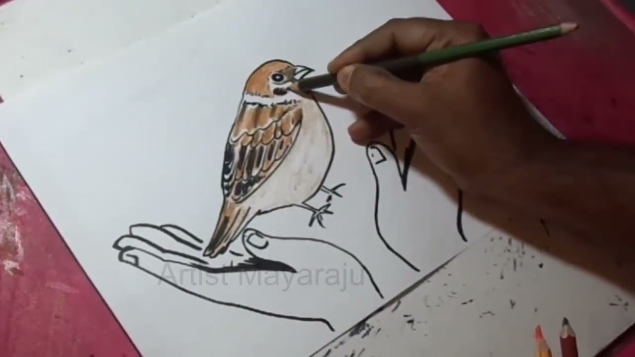 Save sparrow Drawing / Sparrow Day poster drawing / conservation and protection of sparrows drawing