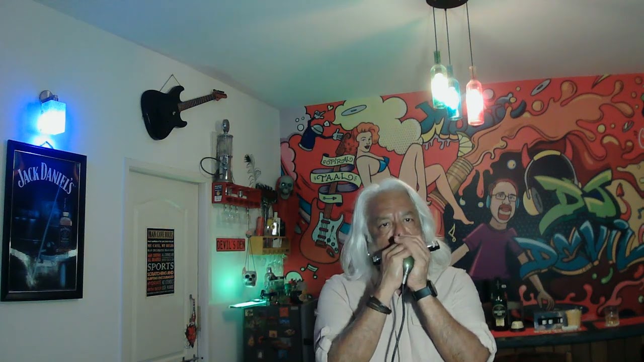 Una Paloma Blanca - #harmonica #harmonicaplayer #karaoke #cover #homestudio