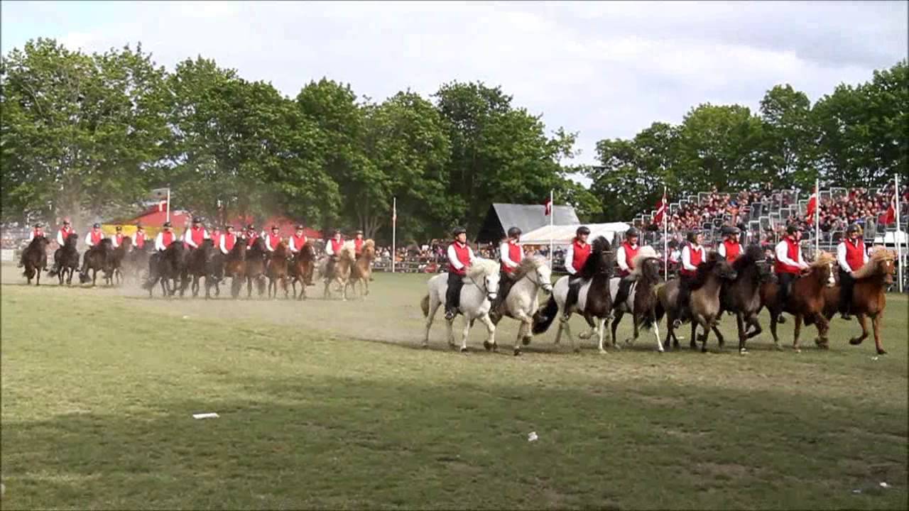 Islænder show - Roskilde Dyrskue 2015