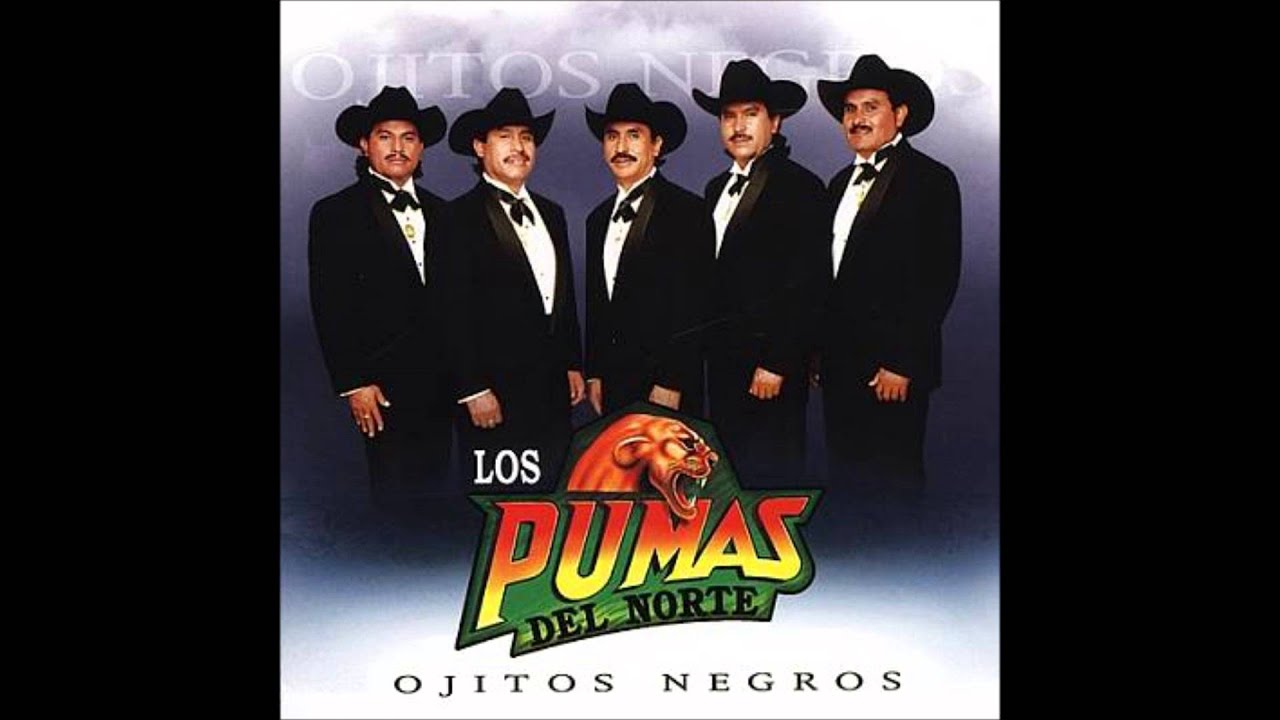 Ojitos Negros  ____Los Pumas Del Norte