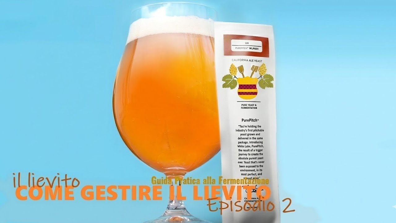 Il Lievito: Guida Pratica alla Fermentazione | COME GESTIRE IL LIEVITO ep. 2
