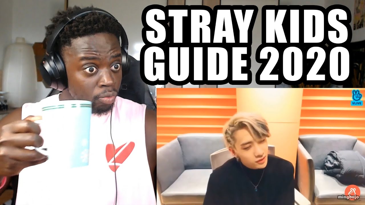 a VERY HELPFUL guide to stray kids (2020) REACTION!!!