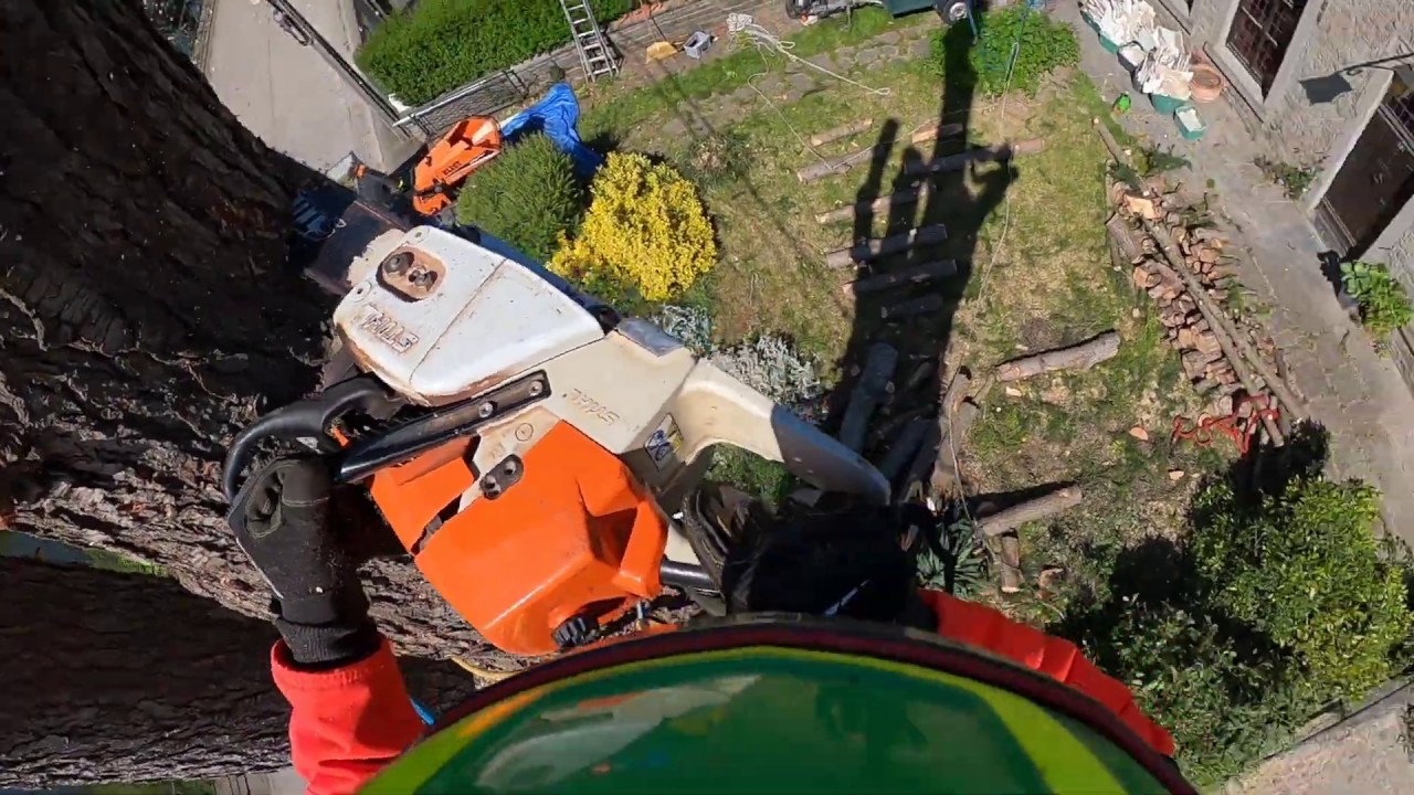 DEMONTAGE D'UN CEDRE DANS LES CABLES ELECTIQUES STIHL 201TC