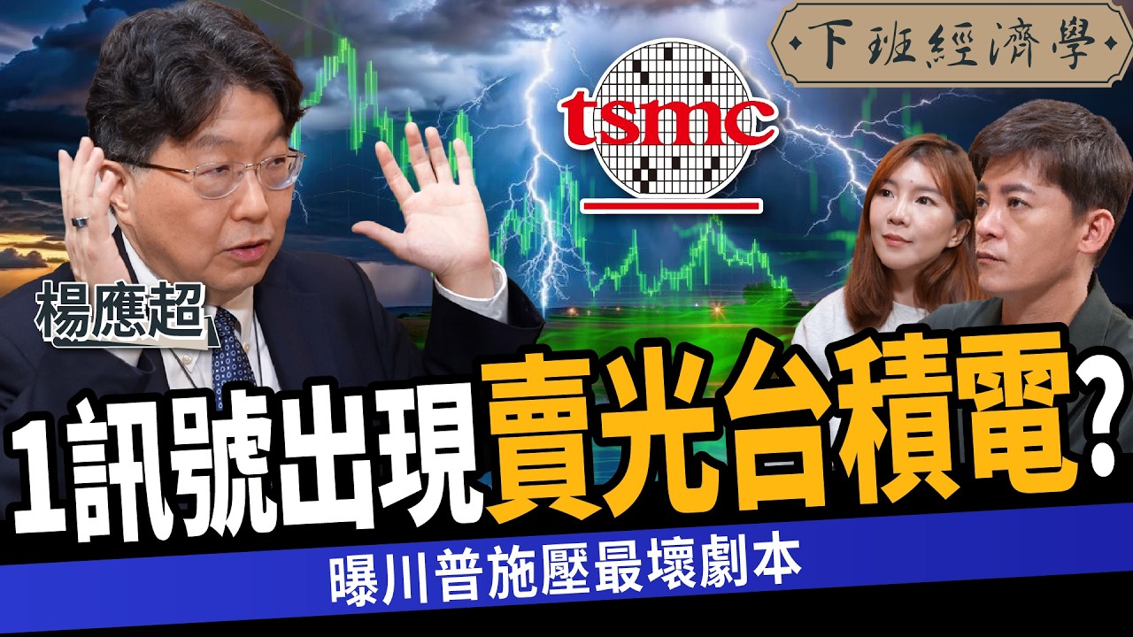 【股票】台股大跌！曝台積電致命弱點？前外資金童：1訊號持股全清光？ft. 楊應超｜下班經濟學542｜謝哲青 @TheStormMedia