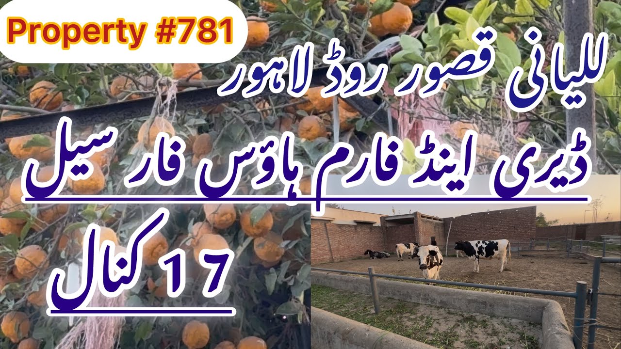 dairy farm and Farmhouse for sale Leilani kasur Road, Lahore | property #781 | Zafar Estate 