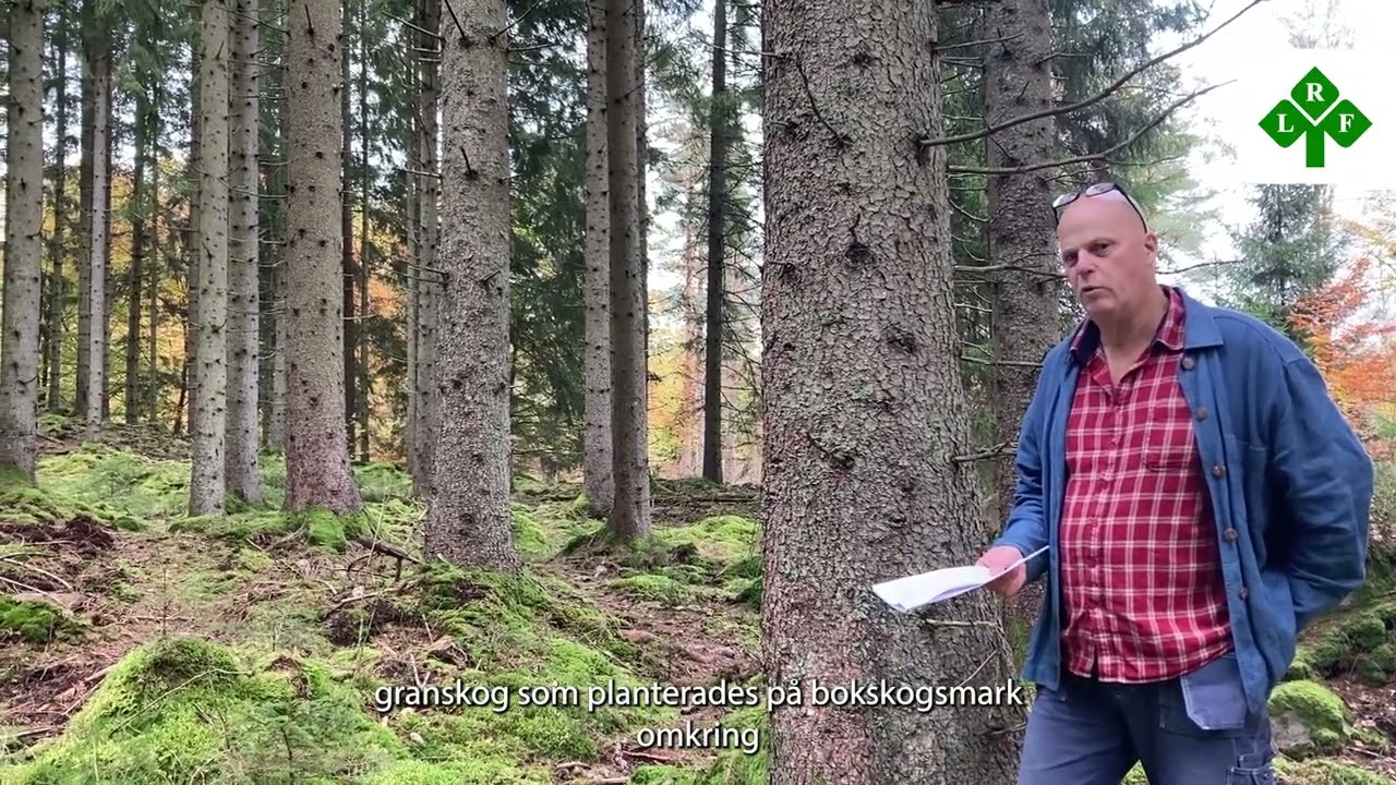 Naturvård Nöttja