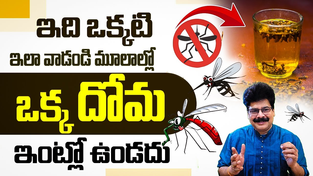 🦟 Natural Mosquito Repellent | ఇంట్లో తయారు చేసే దోమల నివారణ టిప్స్