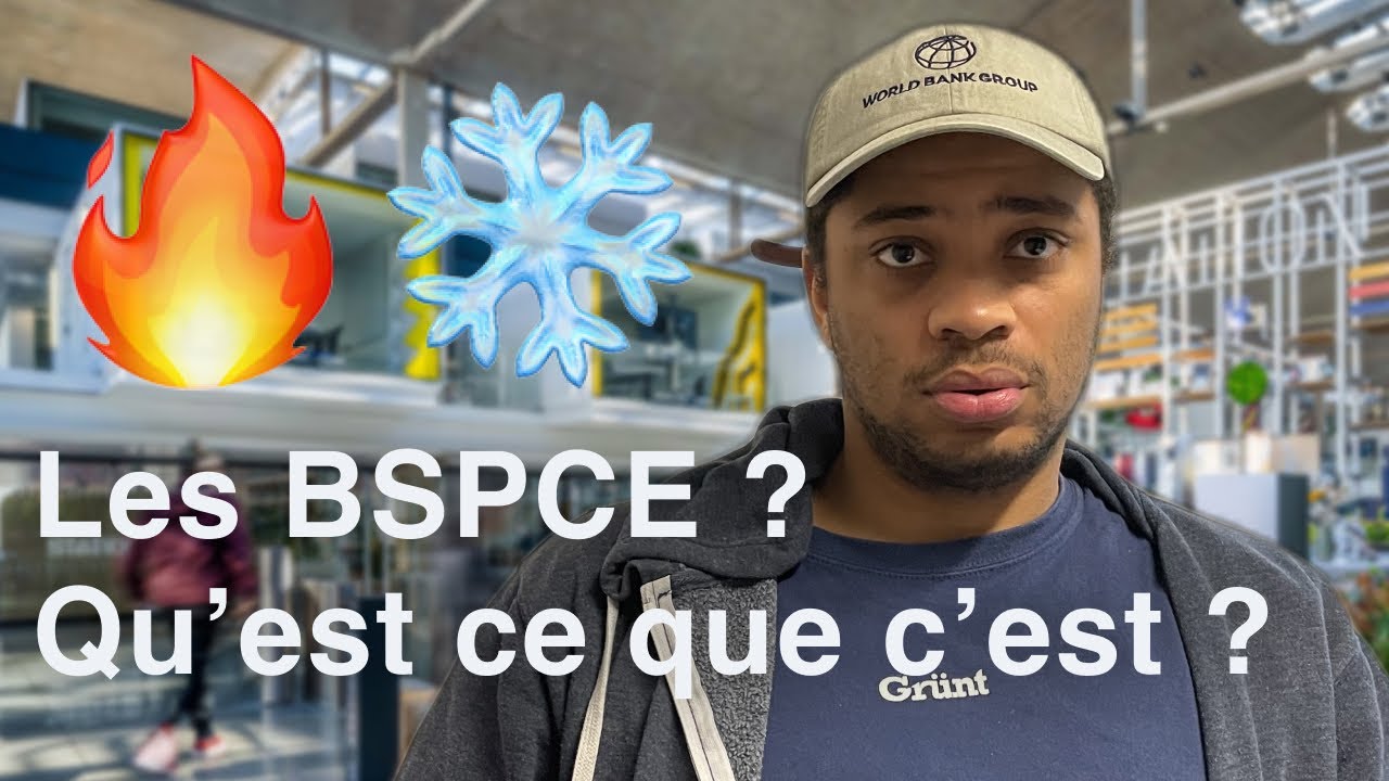 Les BSPCE - l'investissement des salari&eacute;s de startup