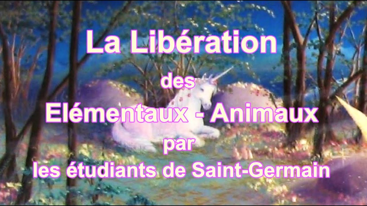 La Libération des élémentaux - animaux par les étudiants confirmés de Saint Germain 💜