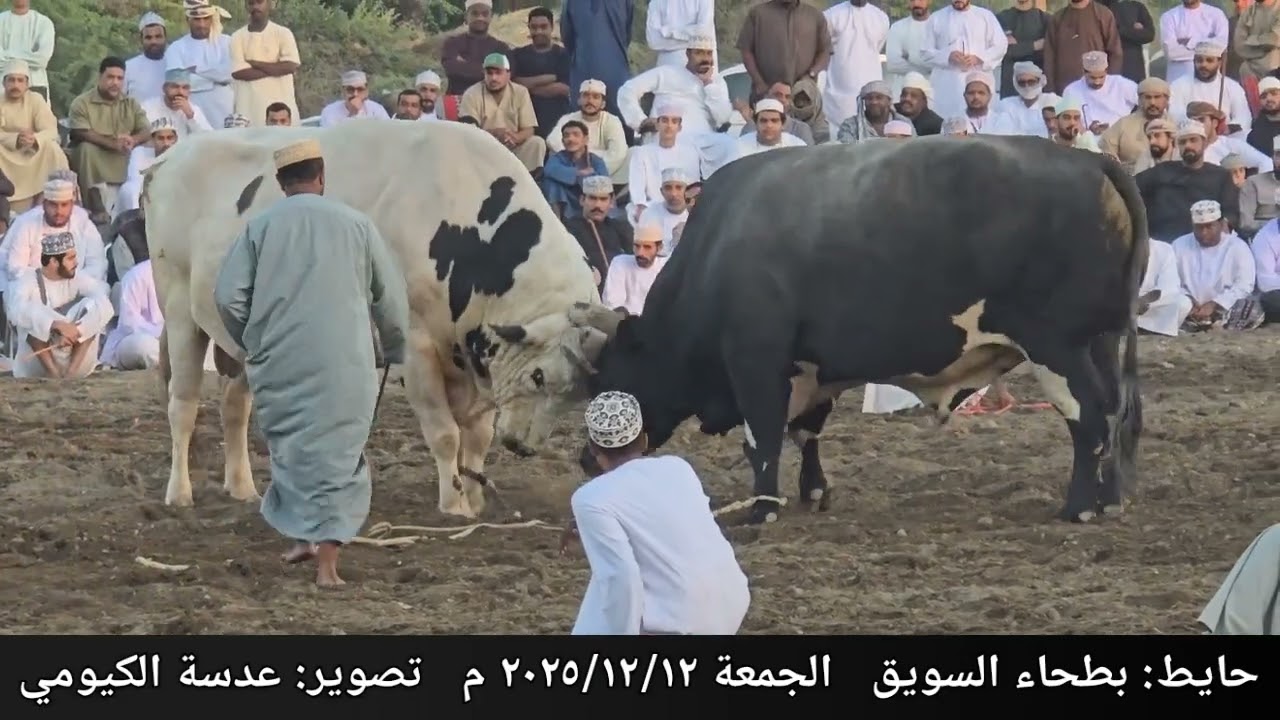 الحصن و مخالس ... حايط بطحاء السويق ١٥