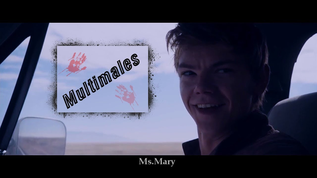 ~Multimales ||  Satisfya~