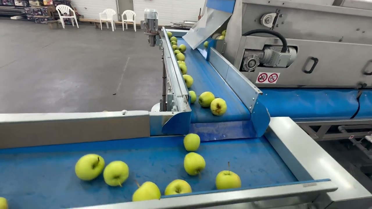 Apples Grading Line - Lateral Discharge