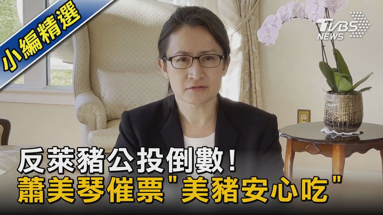 反萊豬公投倒數! 蕭美琴催票「美豬安心吃」｜TVBS新聞