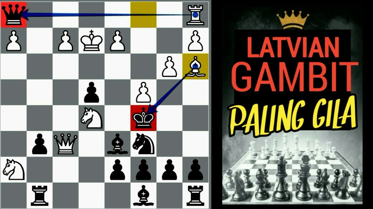 PEMBUKAAN GAMBIT HITAM  PALING GILA ! Latvian Gambit