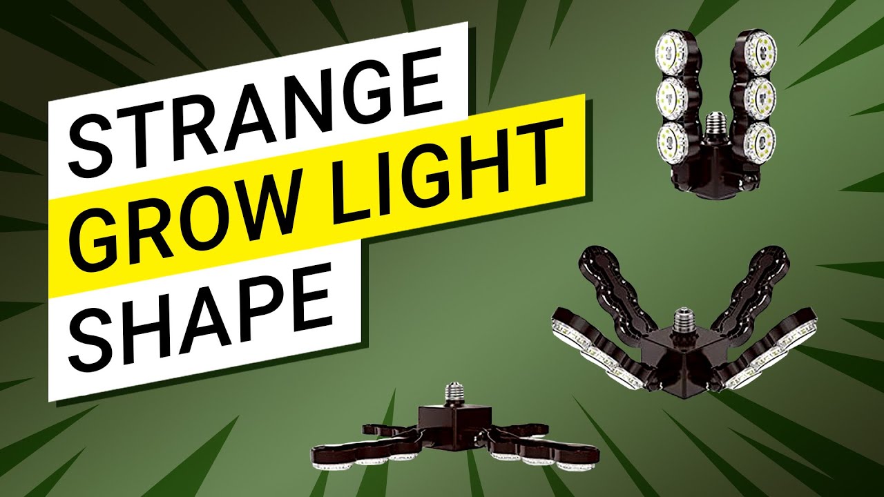 💡 How To Light Tall And Small Plants In The Same Time? 🌴 (My New Grow Light!)