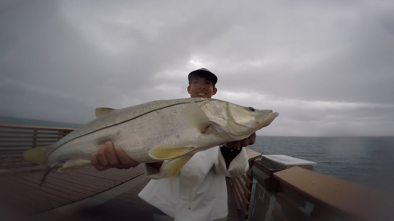 Rain or Shine...  (Juno Pier Snook Fishing)