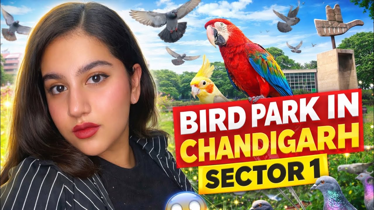 🎥 Chandigarh Sectors : Bird Park Adventure 🦜🦢❤️ | Took a Future Decision ‼️🥺