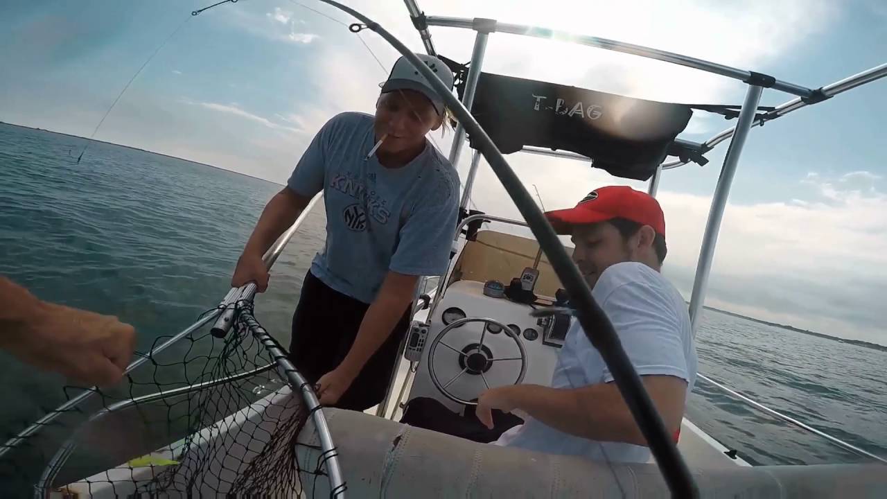 Big Fluke