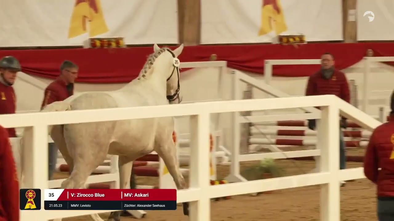 Lot 35 v. Zirocco Blue / Askari