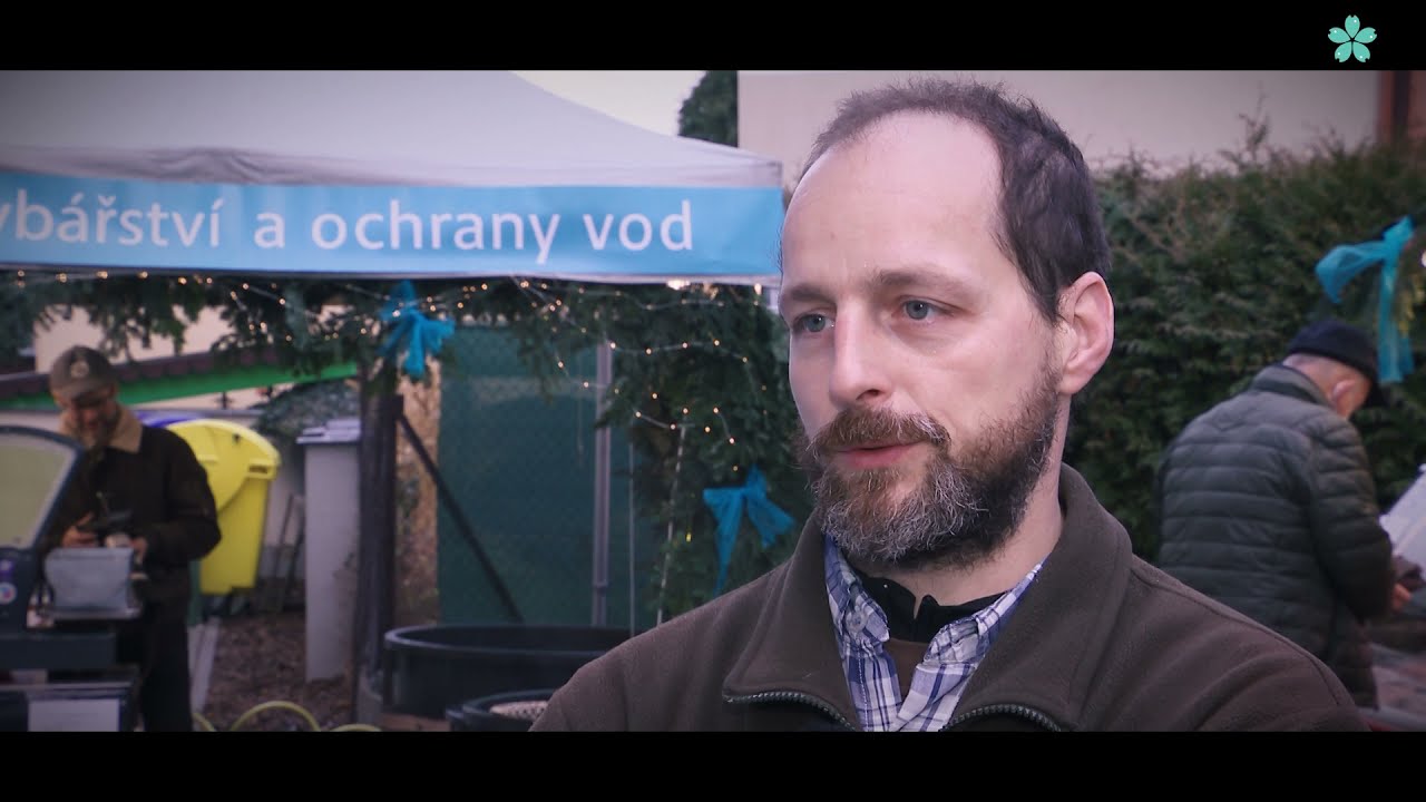 Prodej kaprů v Prodejně ryb a rybích výrobků ÚAOV FROV JU, České Budějovice
