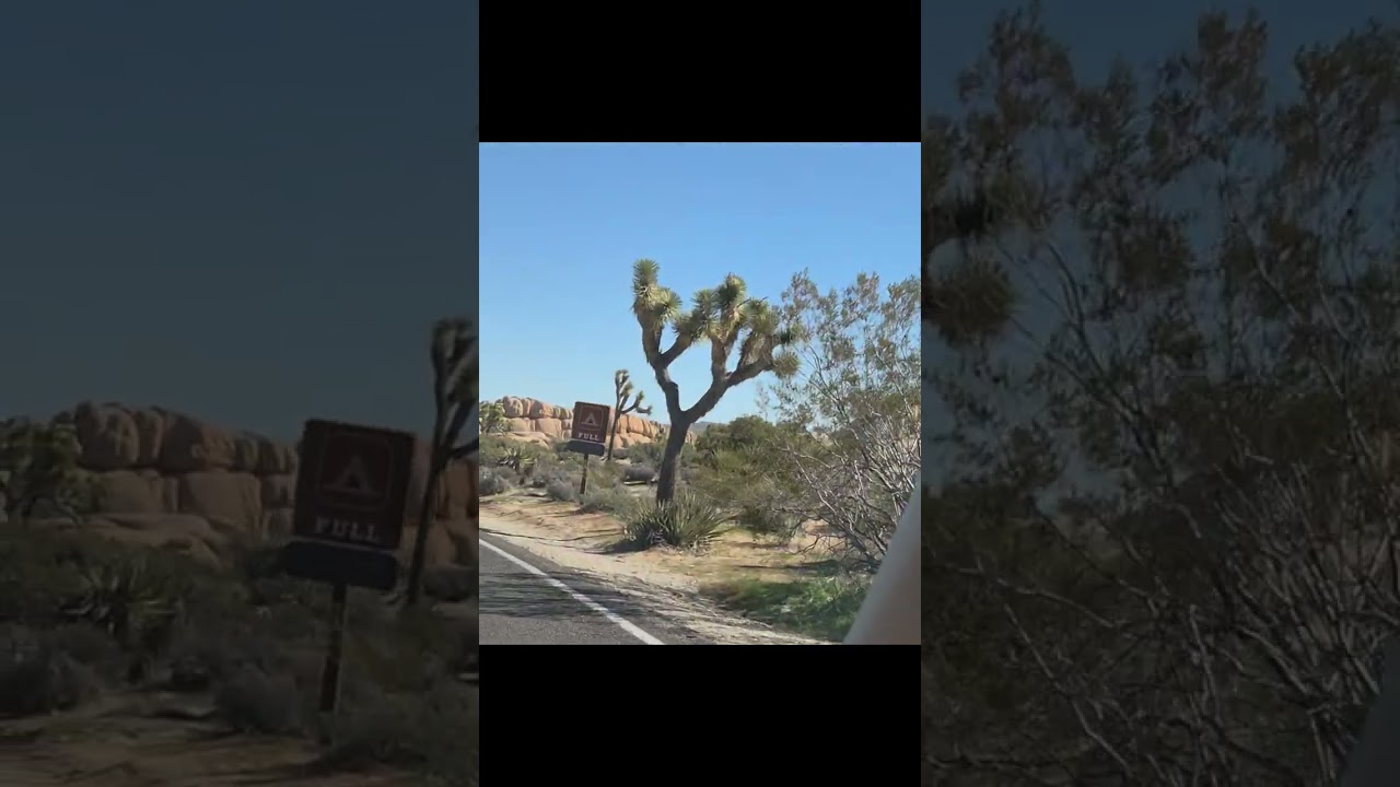 Joshua Tree Walk & Drive About@journey gals Pam and Marilyn