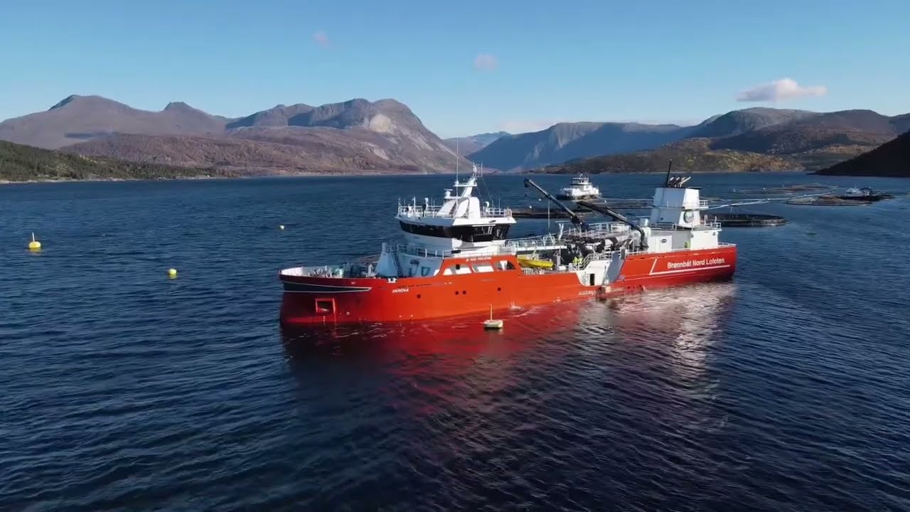 M/S SKROVA Første avlusing
