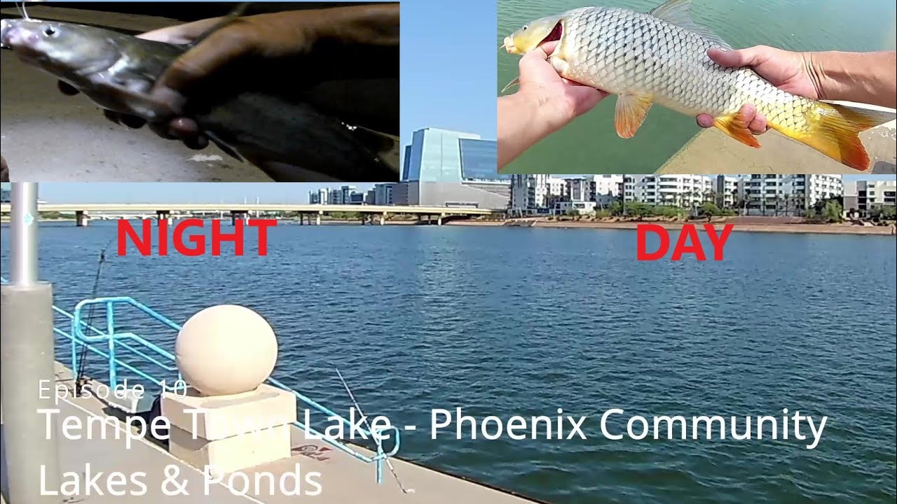 Episode 10 Tempe Town Lake - Phoenix Community Fishing Lakes & Ponds