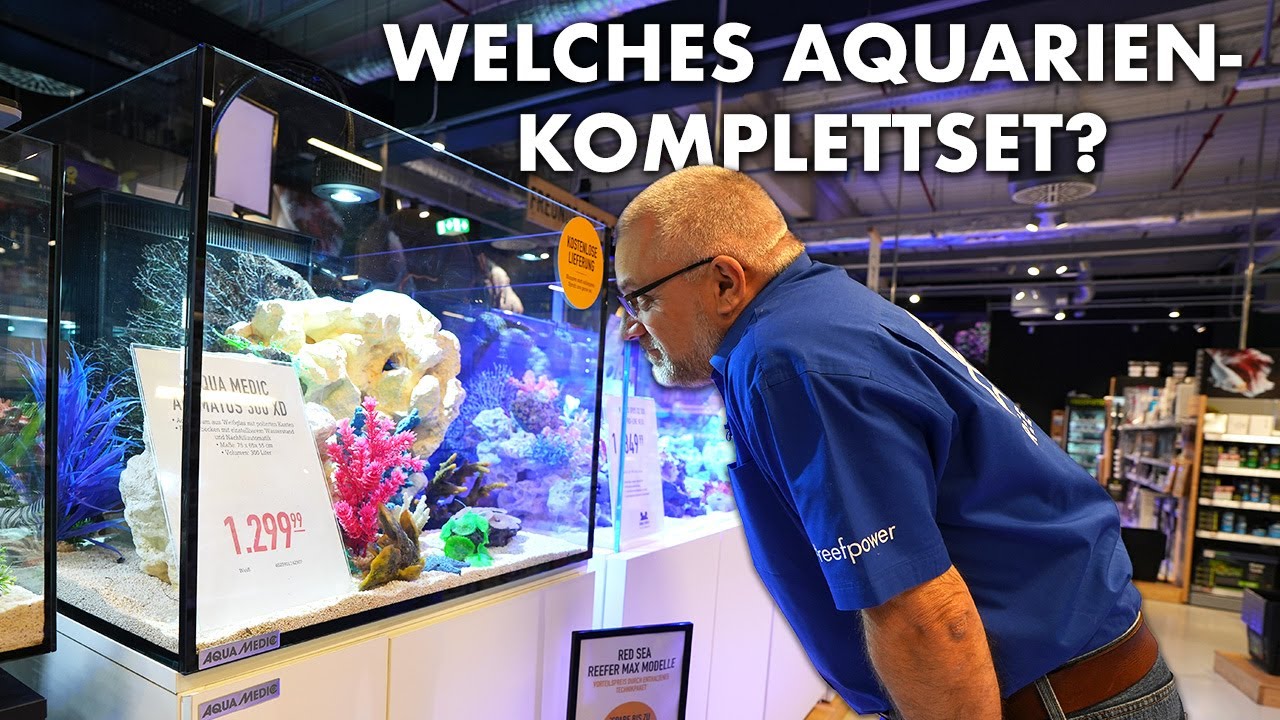 Welches Komplett-Aquarium soll ich kaufen? - Fauna Marin