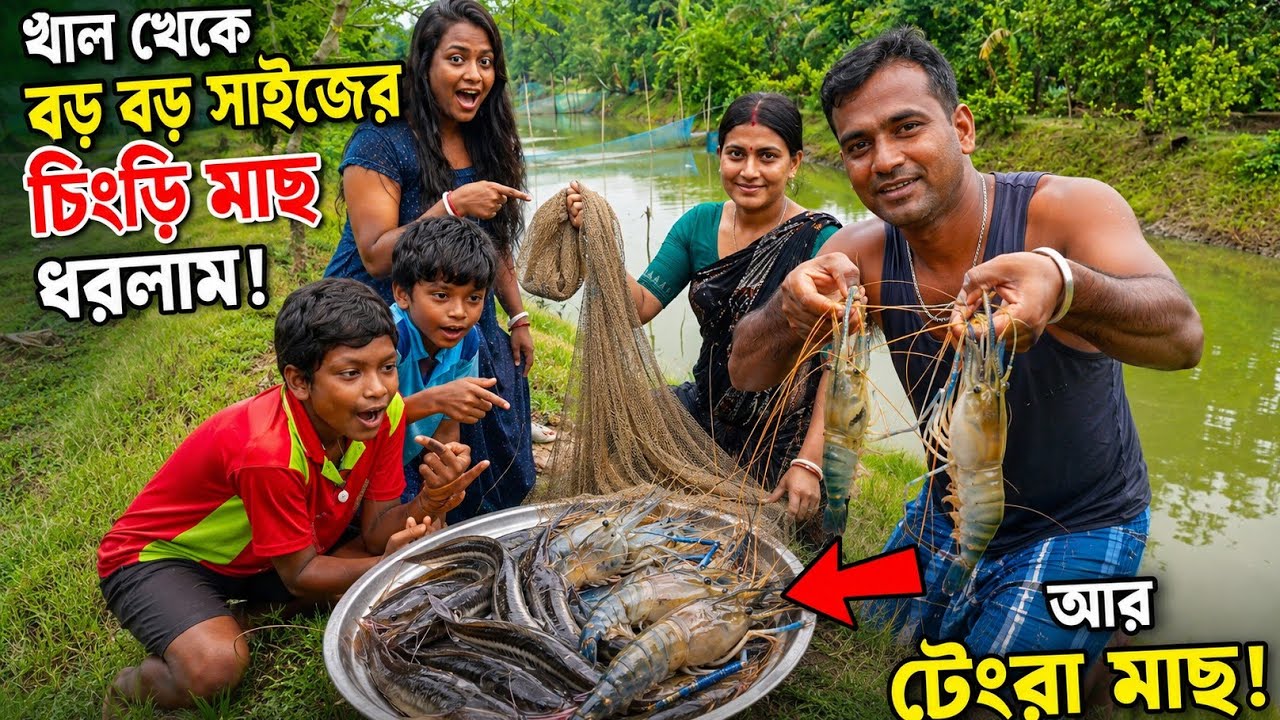 প্রচন্ড ঝড় বৃষ্টির পরে খালে জাল টানা দিয়ে অনেক চিংড়ি মাছ টেংরা মাছ ধরলাম||Nandita Sundarban life