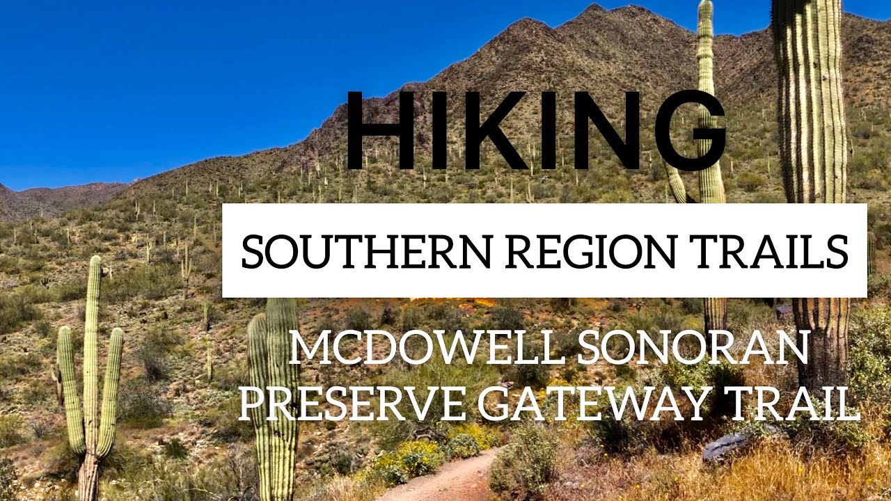 HIKING AT SOUTHERN REGION TRAILS | McDowell MOUNTAIN PRESERVE!