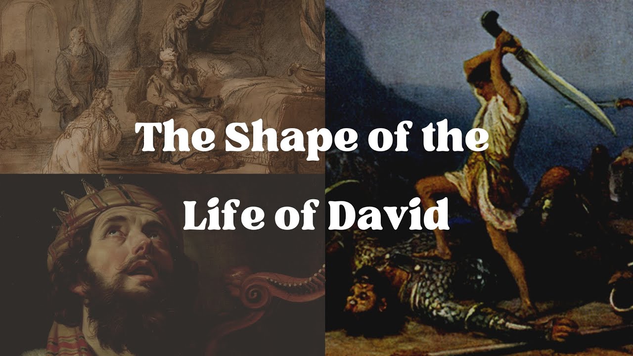 The Shape of David's Life