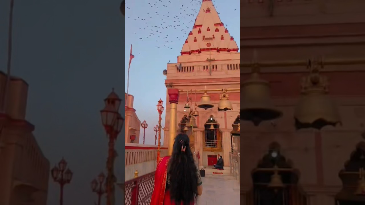 जय हो जय हो शंकरा आदि देव शंकरा🙏🏼 #viral #song #shankar #ytshorts