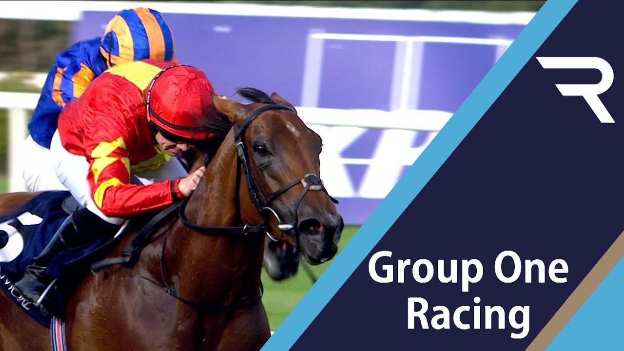2019 Coolmore "Fastnet Rock" Matron Stakes - Racing TV