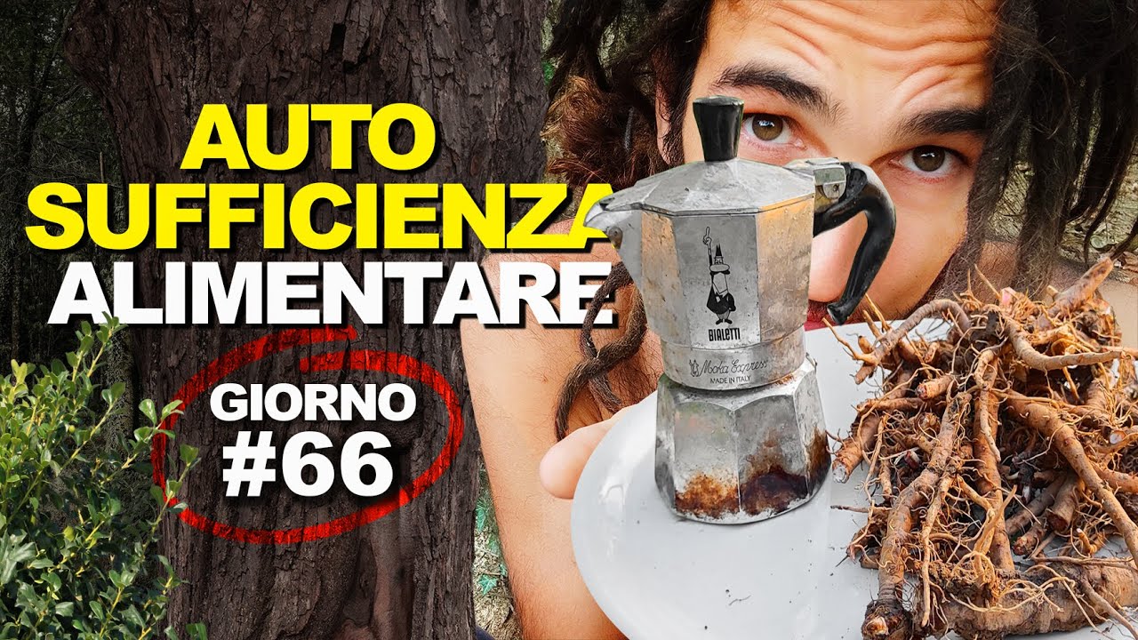 Fare il CAFFÈ  ☕ con le RADICI del TARASSACO