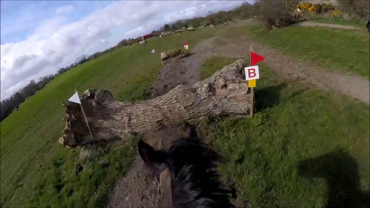 GoPro of Glenmore Mirah Patrick at Ballymacad Foxhounds Hunter Trial 2019