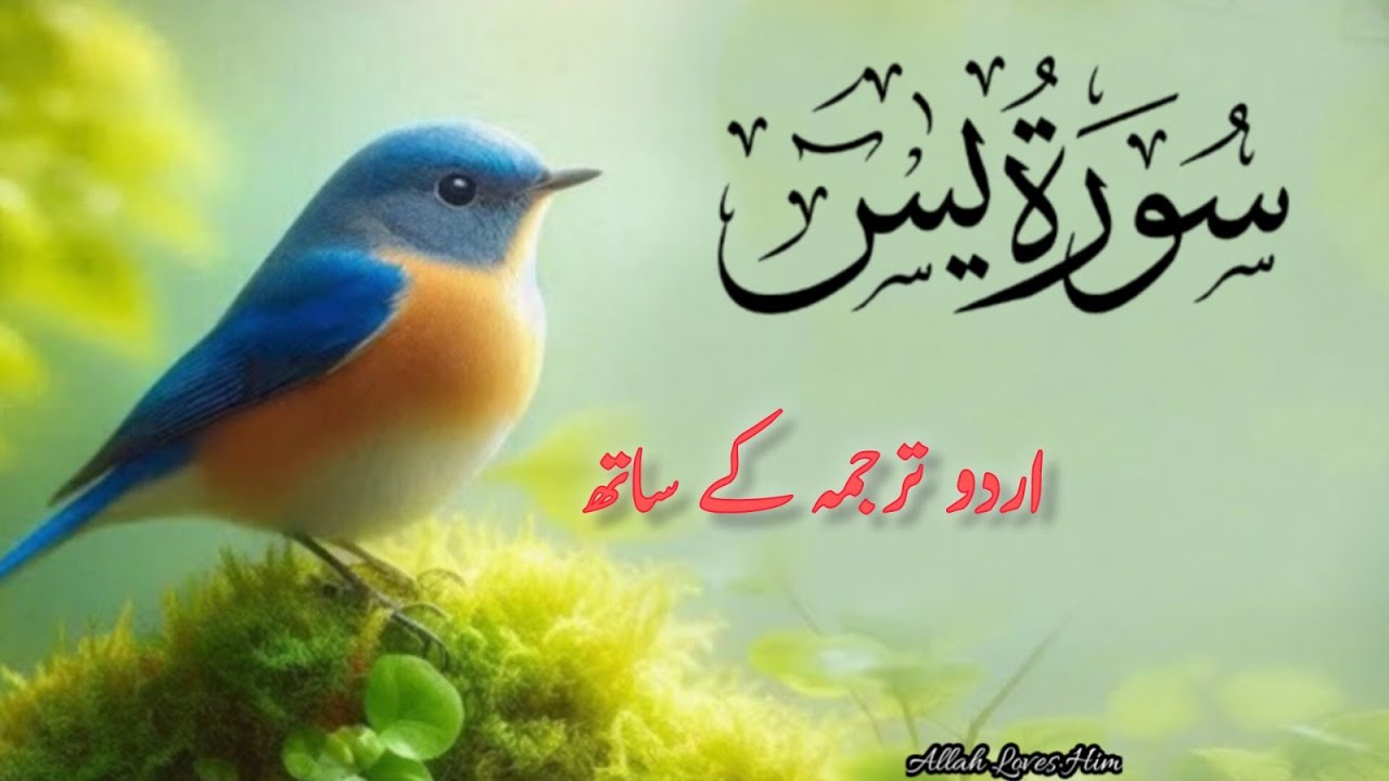 Surah Yaseen with urdu translation full || qari abdul basit ||No Ads || Alquran studio