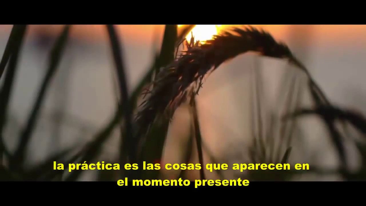 La transformación de la conciencia humana - Eckhart Tolle subtítulos español