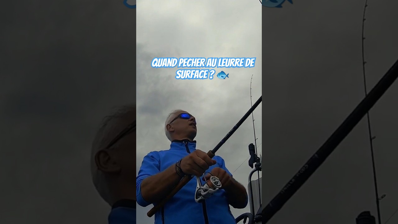 T'es tu posé la question des conditions propices pour pêcher le bar au leurre de surface ? 🐟🎣🐟