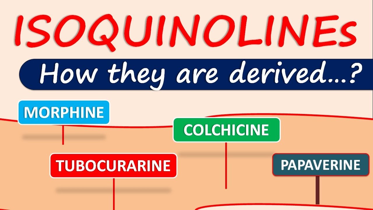 Isoquinoline alkaloids and drugs | How they are derived in plants?
