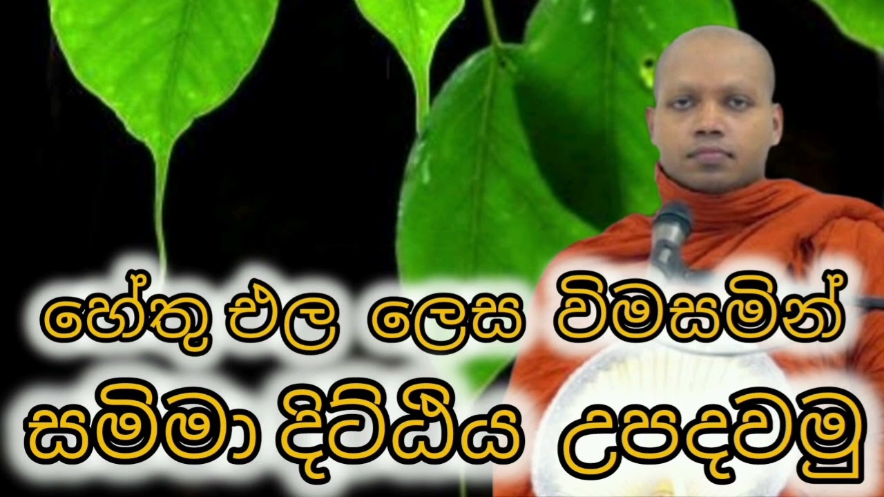 හේතු එල ලෙස විමසමින් සම්මා දිට්ඨිය උපදවමු 2024.03.10 පුජ්‍ය හසලක සීලවිමල හිමි || #10 බණවර||