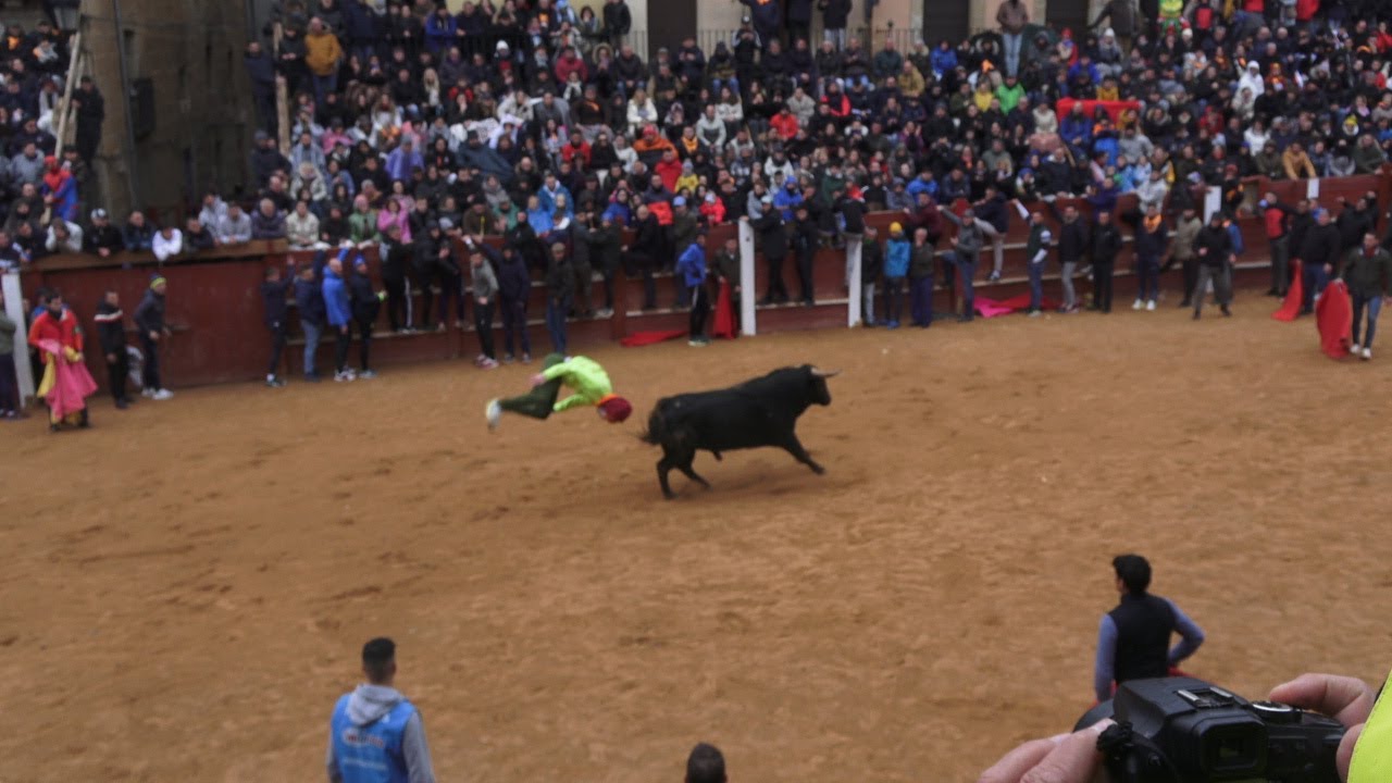 Ciudad Rodrigo  2025  Toro del aguardiente ,Carnaval del toro