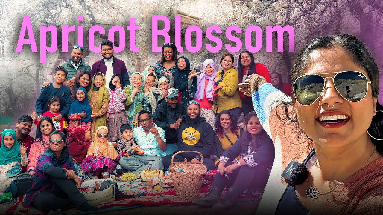 I took them to Ladakh for Apricot Blossom🌸