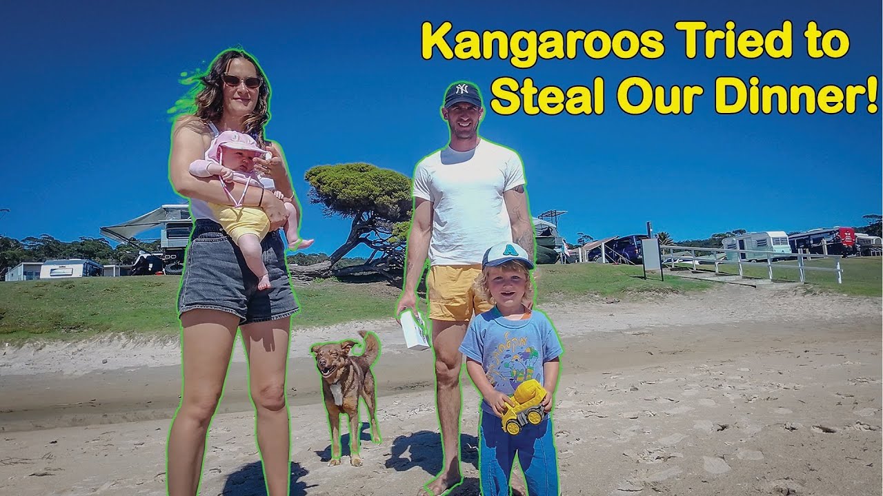 Kangaroos Tried to Steal Our Dinner! Family Camping at Merry Beach