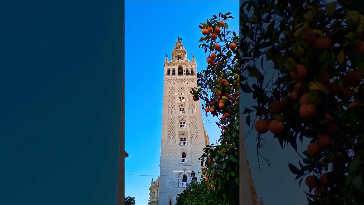 📍SEVILLE 🇪🇦 Winter City Walk in Europe&rsquo;s Most Beautiful City #travel #4k #walkingtour
