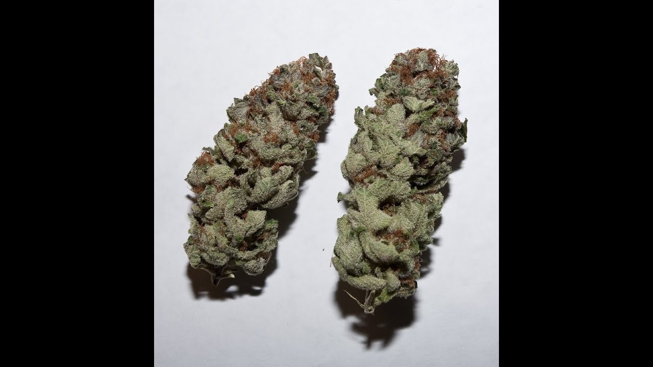 Knottyy's ATF (Alaskan Thunderfuck) Flower