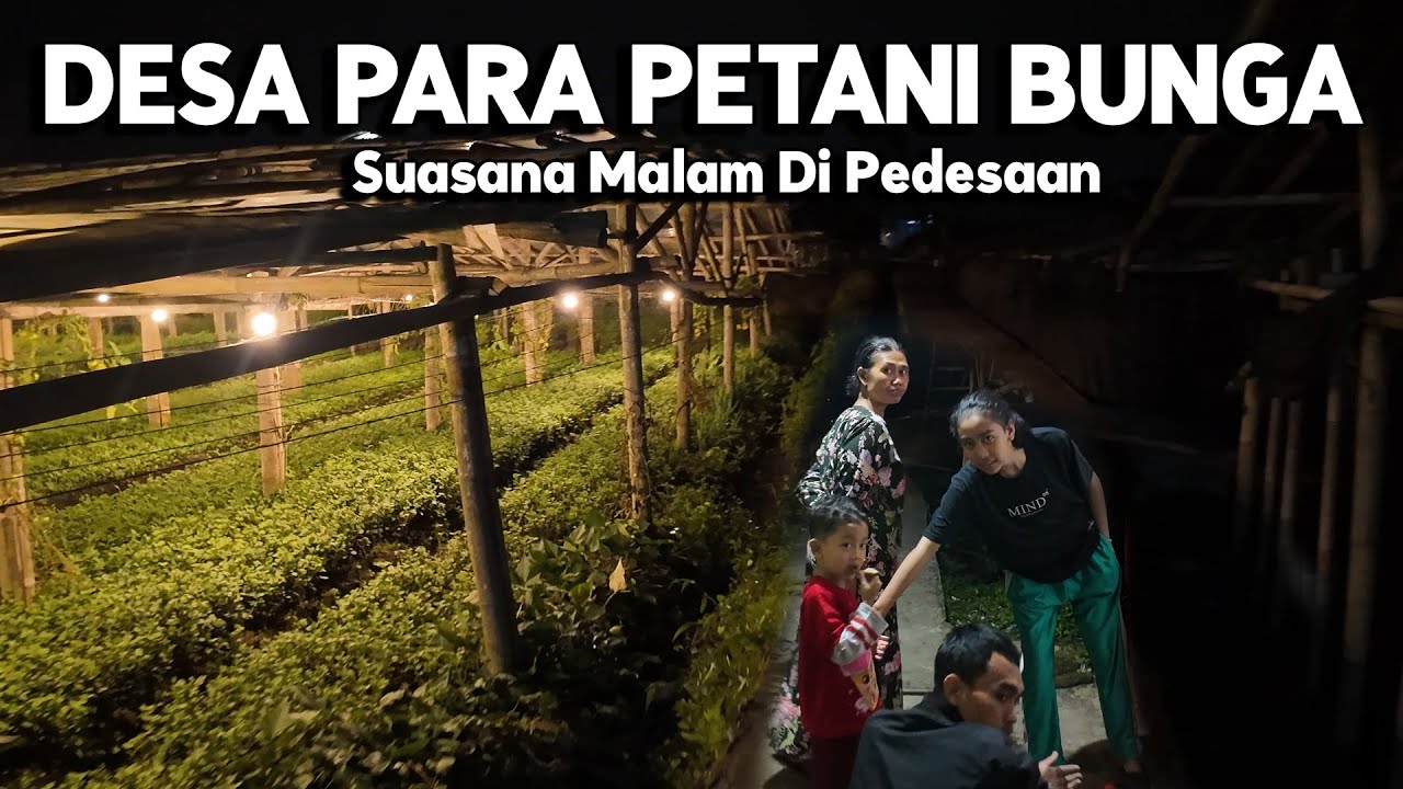 SUASANA MALAM DI DESA PARA PETANI BUNGA | Night Walking Experience