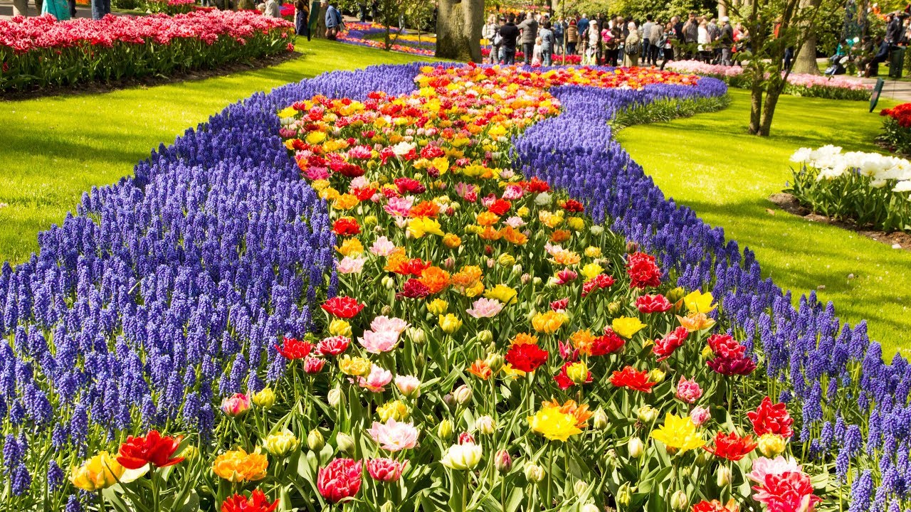 theTravellers Extra: Keukenhof