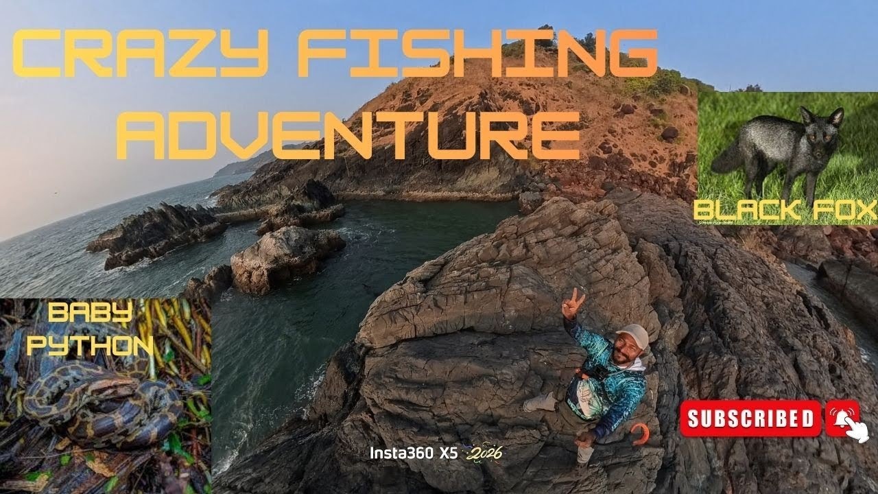 CRAZY FISHING ADVENTURE #FISHING IN GOA #ROCK FISHING #BAIT FISHING #JIG FISHING