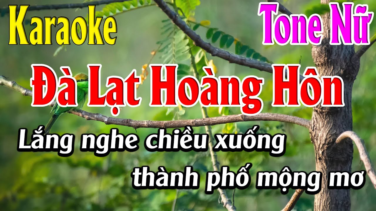 Đà Lạt Hoàng Hôn Karaoke Tone Nữ Karaoke Lâm Organ - Beat Mới